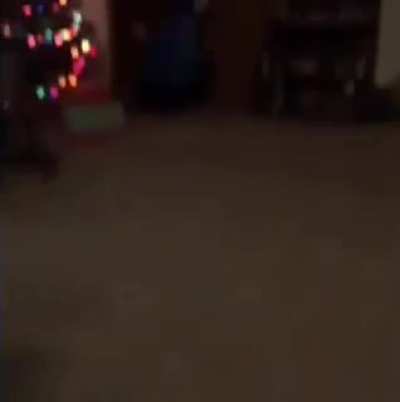 This was originally from vine (rip)