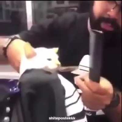 T&aacute; legal,mas VCS LEMBRAM DO GATO NO CABELELEIRO????