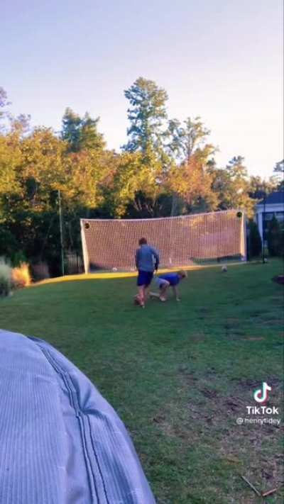 What the dog doin