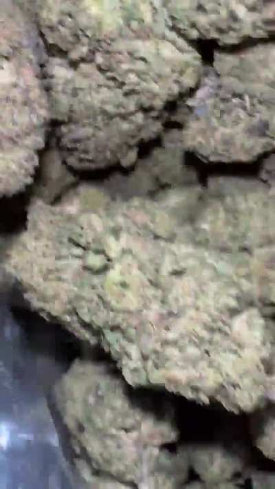 GMO Cookies Dep