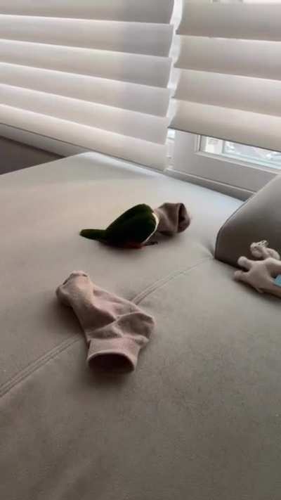 Sock party