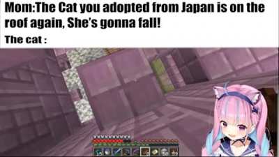 Posting Aqua memes/content until she joins r/Hololive Day 16. I guess its true that cats always land on their feet..