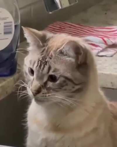 Little guy got something on his mind