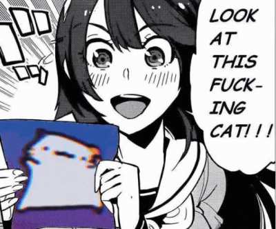 the cat