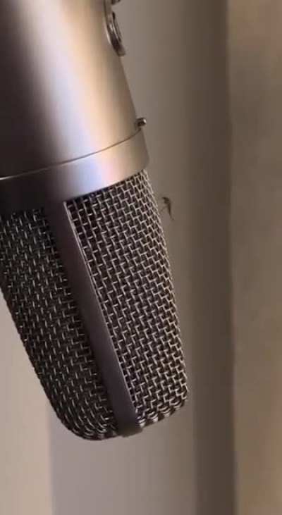 Dropping a new hit