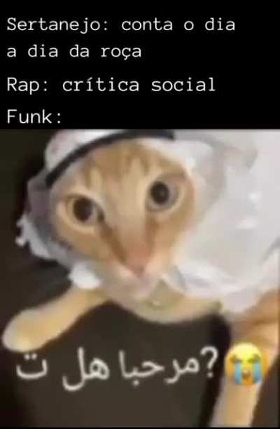 Funk do brabo