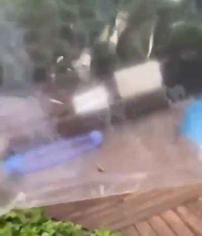 Yo cuando veo una ara&ntilde;a