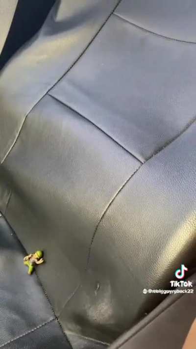 💀