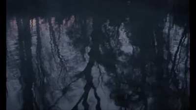 This Meme Video was made to pay respects to all the loose sprew bits lost to the immaterium and time. "All that is gold does not glitter,
Not all those who wander are lost;
The old that is strong does not wither,
Deep roots are not reached by the frost." 
