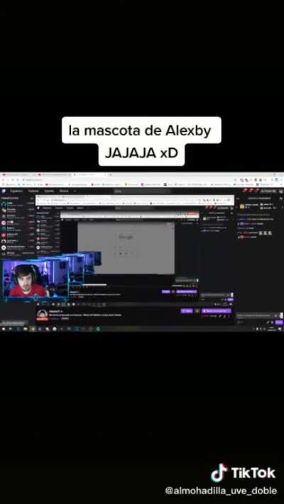 Levanta la mano plis