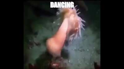 dancing :D