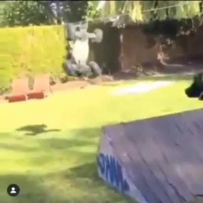 Xd