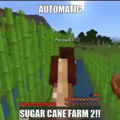 Nova Farm do Vin&iacute;cius 13