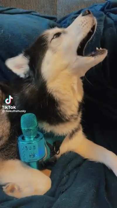 Song of His People (remix)