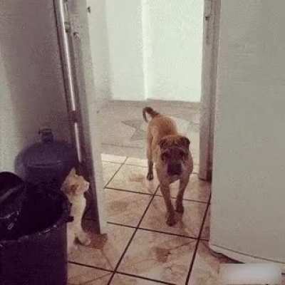 "do you have a moment to talk about... " nope.