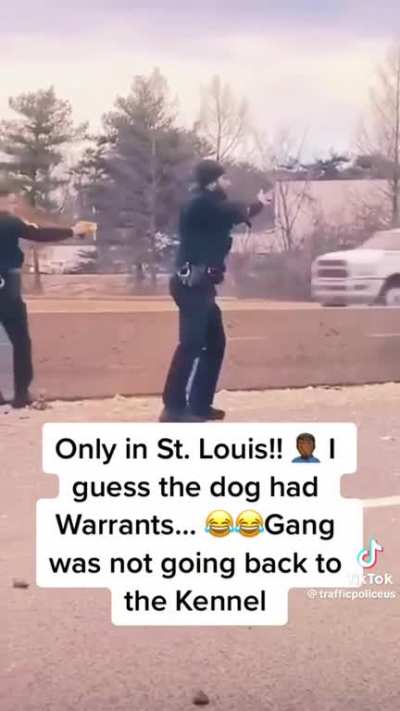 Not today paw patrol..