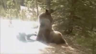 POV: t6 mace summoners fighting an ent ancient