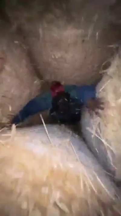 My Haystack People Need me