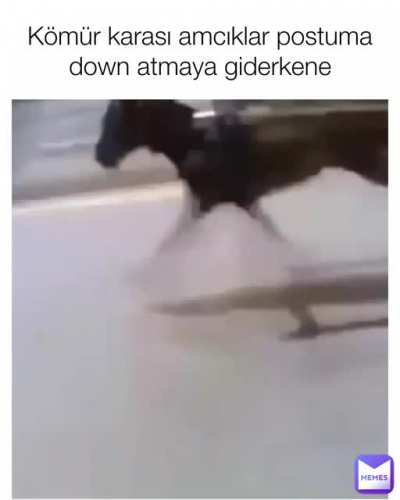 Orjinal content