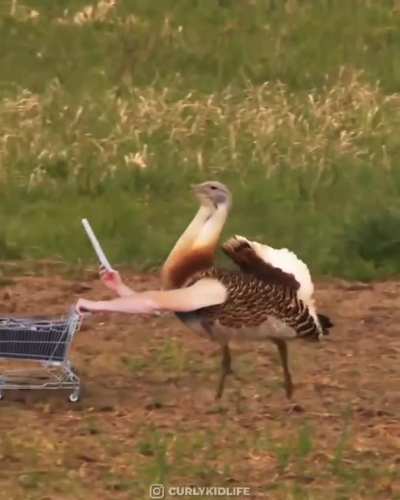 s&igrave;