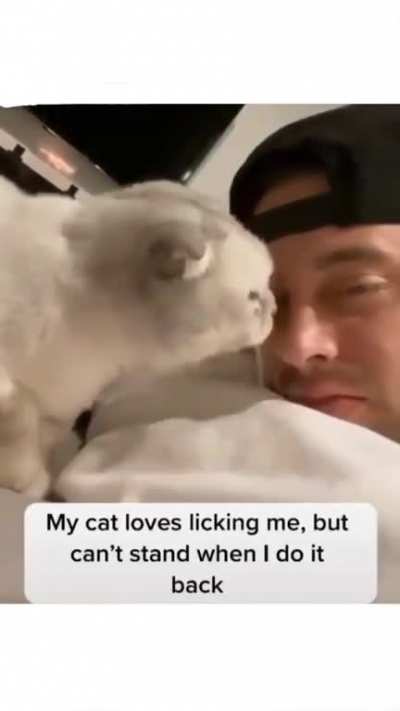 c&aring;t