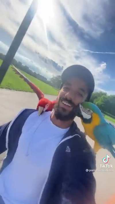 Well trained birds