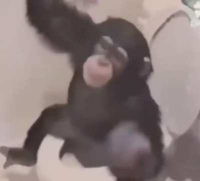 Monke
