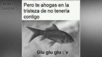 GLU GLU GLU :VVVV