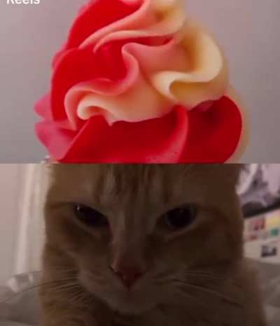 Blursed_Cat