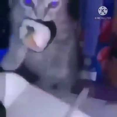 ¿Este es el reddit oficial de Rodsquare?