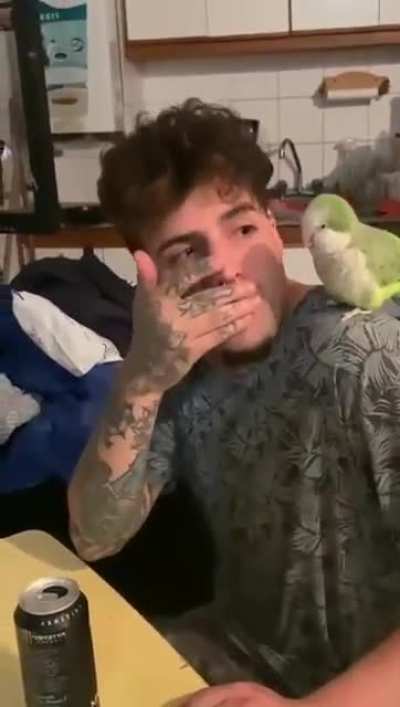 Fofo