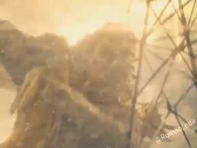 Team godzila