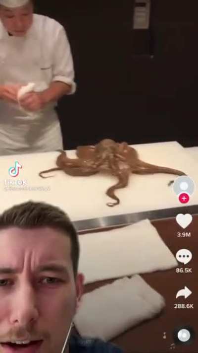 Rip Squadward