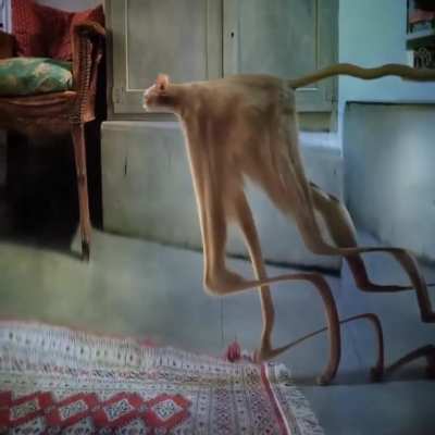 hmmm