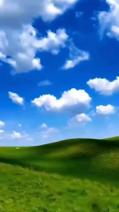 driving through windows xp background