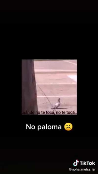 Nooo ☹️