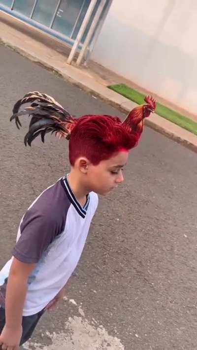 🐔