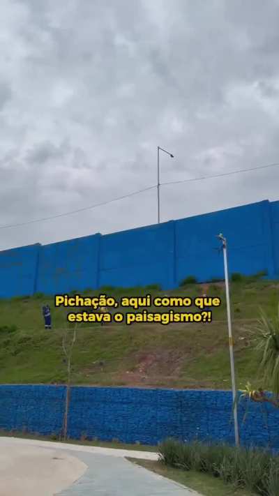 O PROBLEMA &Eacute; O BRASILEIRO.