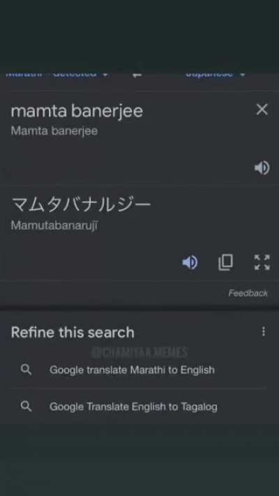 Japanese Mamata Banerjee