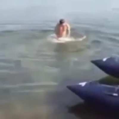 fish