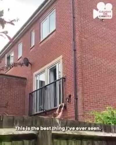 To cheat