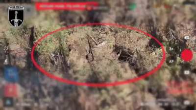 Failed Russian Assault leads to Group of Russian Soldiers attempting to surrender who are then shelled by Russian Artillery.