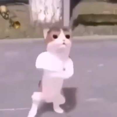 hi