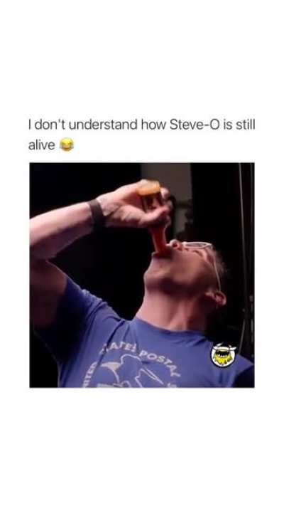 Steve-O is an absolute madman
