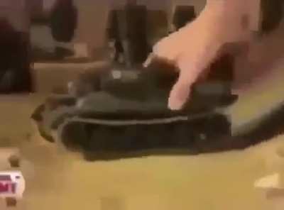 Moldy discord thing