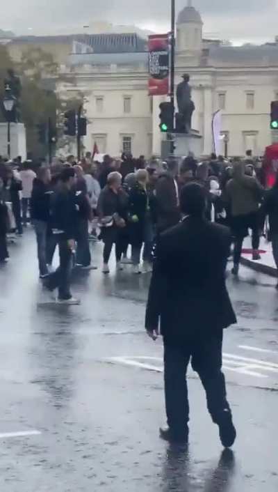 A person waving the trans BLM LGBTQ progress flag at the Palestine rally in central London gets it torn down and stolen today.