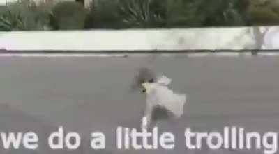 Qatè