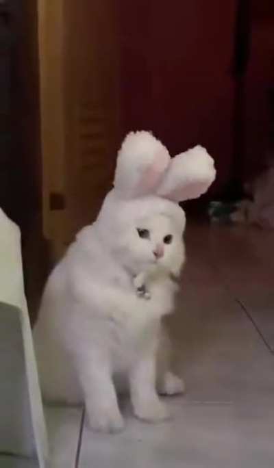 Blursed_Awwwwww