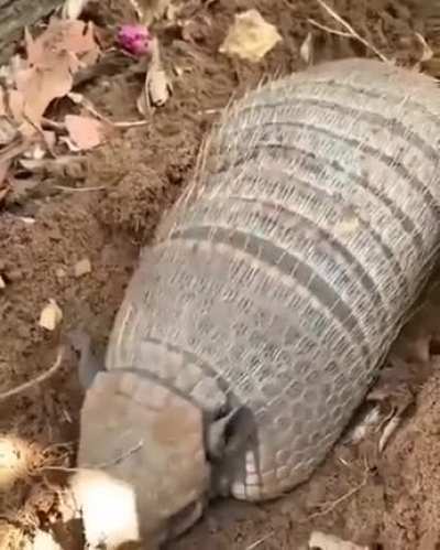 Delicioso 😋