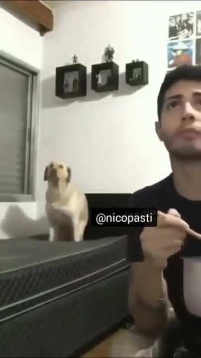 NUNCA digan 